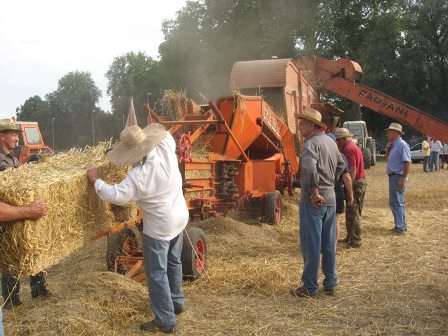 montemurlo. IL CONVEGNO SUI GRANI ANTICHI APRE LA FESTA DEL GRANO 2018