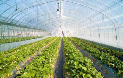 fondazione caript. SEMINARIO SU FORMAZIONE E RICERCA IN CAMPO AGRICOLO E AMBIENTALE