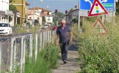 quarrata. ERBA ALTA NEL CENTRO DI OLMI