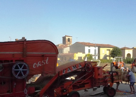 badia a pacciana. DALLA COLTRATURA DEL TERRENO ALLA MOLITURA