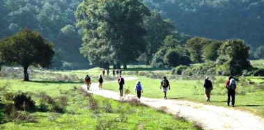 turismo. CONFCOOPERATIVE: “BENE LA NUOVA LEGGE TOSCANA SUI CAMMINI”