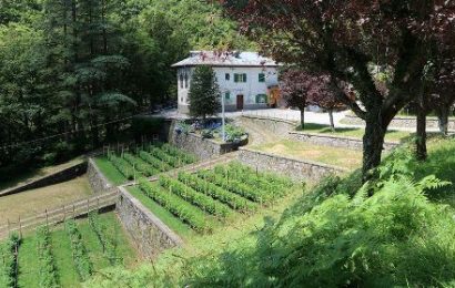 san marcello-piteglio. NUOVA VITA PER IL VIVAIO DI MARESCA