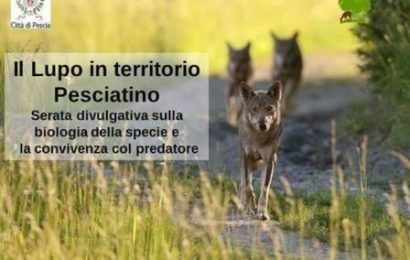 pietrabuona. IL LUPO IN TERRITORIO PESCIATINO