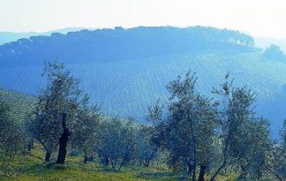 MONTALBANO: PER I PESTICIDI REGOLE PIÙ SEVERE!