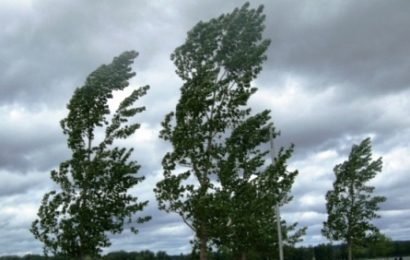 allerta gialla. VENTI IN RINFORZO DA NORD-EST FINO A FORTI