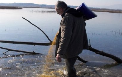 padule fucecchio. L’INTENSA ATTIVITÀ E IL VALORE AGGIUNTO DEL LAVORO DEI VOLONTARI