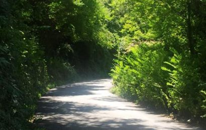 pescia. NON TAGLIANO L’ERBA IN MONTAGNA SULLE STRADE PROVINCIALI, GIURLANI PERDE LA PAZIENZA