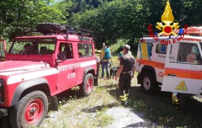 PADRONI E CANI NEL BACINO, INTERVENGONO I VIGILI DEL FUOCO