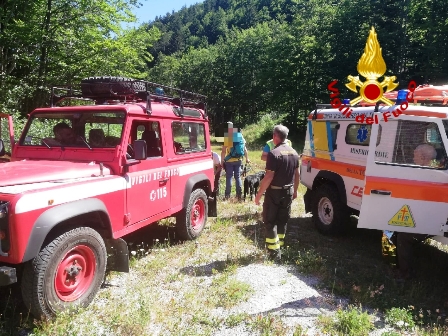 PADRONI E CANI NEL BACINO, INTERVENGONO I VIGILI DEL FUOCO