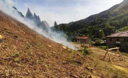 spedaletto. RIQUALIFICAZIONE AREA A VERDE, VANDALI CONTRO IL PROGETTO?