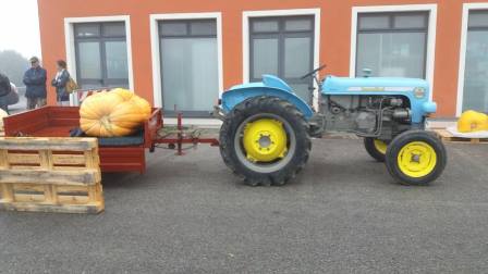 lamporecchio. NELLA PIAZZA DI MASTROMARCO TORNA LA “MASTROZUCCA”