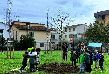 A MONTEMURLO DALLE MATITE NASCONO ALBERI