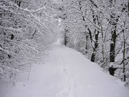 NEVE E GHIACCIO, ALLERTA NEL NORD DELLA TOSCANA