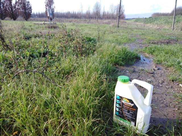 pesticidi. FABRIZIO NEROZZI CONTRATTACCA