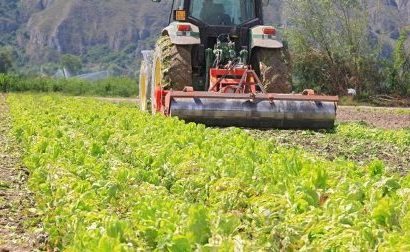 san marcello piteglio. ARRIVA L’INFO DAY “PACCHETTO GIOVANI IN AGRICOLTURA”