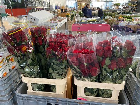 SAN VALENTINO, VENDITE DI FIORI IN AUMENTO