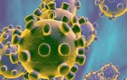 coronavirus. UN SOLO POSITIVO AL TAMPONE, A PESCIA