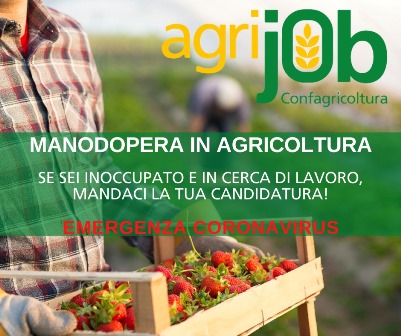 confagricoltura. AGRIJOB: IL NUOVO SERVIZIO ONLINE CHE FA INCONTRARE DOMANDA E OFFERTA DI LAVORO AGRICOLO