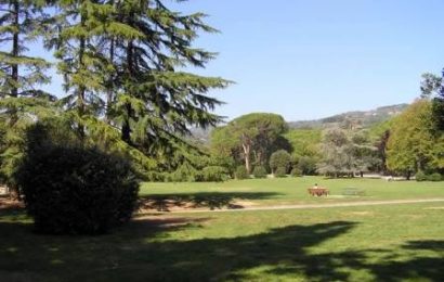 montecatini. FASE 2, DA LUNEDÌ 4 MAGGIO RIAPRONO LA PINETA E GLI ALTRI PARCHI E GIARDINI