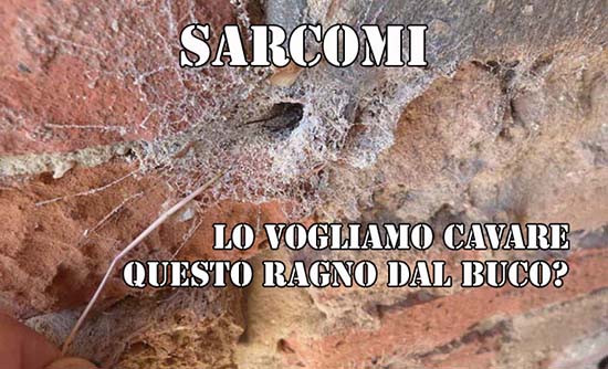 sarcomi a casalguidi. NESSUN RAGNO DAL BUCO E UNA INFORMAZIONE A DIR POCO DA BURLA