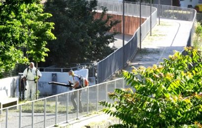 quarrata. IN CORSO IL TAGLIO DELL’ERBA NEI GIARDINI E LUNGO LE PISTE CICLABILI