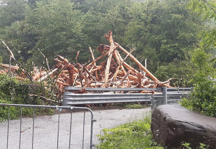 maltempo. IN MONTAGNA COMPROMESSA LA PRODUZIONE DI FIENO E PATATE DEL MELO