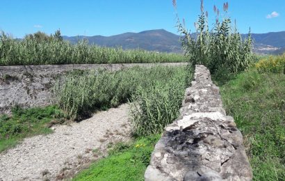 montemurlo. È PARTITO LO SFALCIO DELL’ERBA SUI MARCIAPIEDI E SUGLI ARGINI DEI TORRENTI