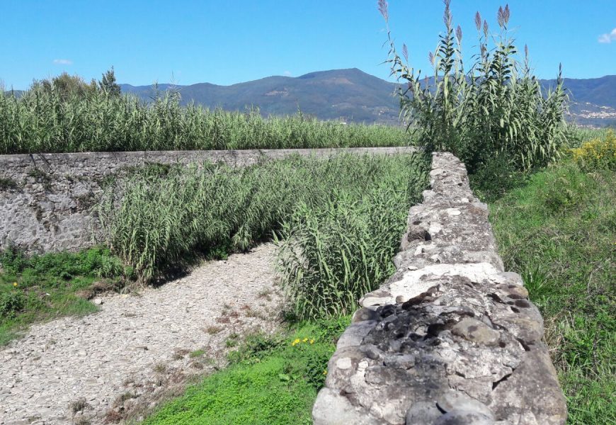 montemurlo. È PARTITO LO SFALCIO DELL’ERBA SUI MARCIAPIEDI E SUGLI ARGINI DEI TORRENTI