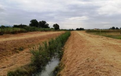 agliana. PROSEGUONO GLI SFALCI DEL CONSORZIO MEDIO VALDARNO SUI CORSI D’ACQUA