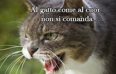 fdi & il senatore. SERRAVALLE, «ORA FO ’ NODI – E IO LI SCIOLGO». PARTITO IN CRISI…?