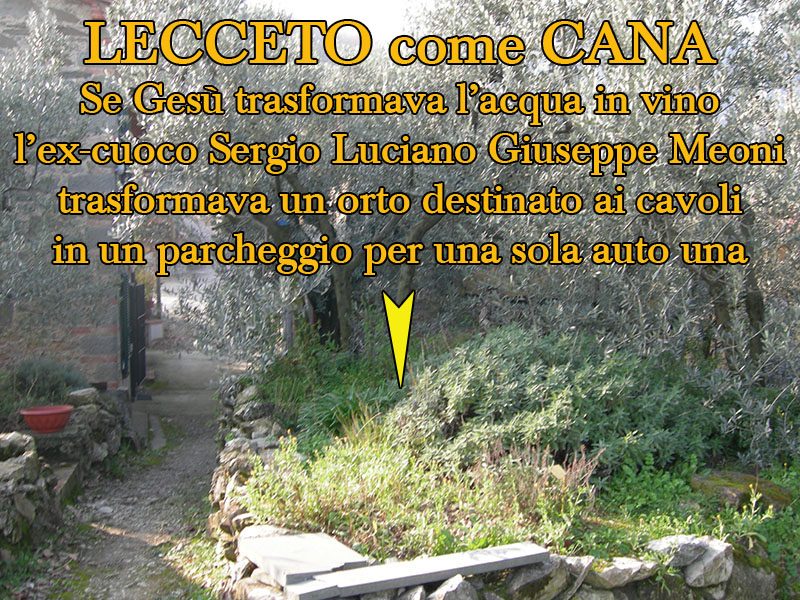 quarrata, gioie & dolori. LECCETO/ABUSI EDILIZI. SE UN VICINO MOLESTO TRASFORMA UN ORTO DI CAVOLI IN UN PARCHEGGIO E CHIAMI I VIGILI, COSA TI VIENE RISPOSTO? «MA VAFFFF…!» 16.2