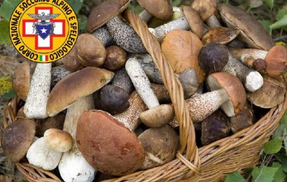 ANDARE A FUNGHI IN SICUREZZA: I CONSIGLI DEL SOCCORSO ALPINO