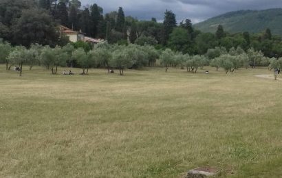 PARCO DI GALCETI, NUOVA RECINZIONE PER PROTEGGERE LA RIFORESTAZIONE