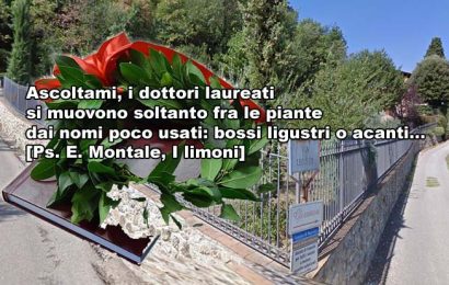 quarrata, gioie & dolori. LECCETO/MONTALBANO E ROGNE. IL DOTT. (IN COSA?) RAGIONIER PERROZZI, LA SUA RABBIA E UNA SUA LAUREA CHE NON VUOLE MOSTRARCI. MA ESSERE RAGIONIERE SIGNIFICA AVERE COMUNQUE RAGIONE? 16.3 m