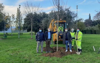 montemurlo. L’AMMINISTRAZIONE COMUNALE STA LAVORANDO AD UN PROGETTO DI FORESTAZIONE URBANA