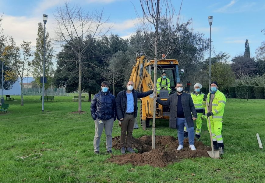 montemurlo. L’AMMINISTRAZIONE COMUNALE STA LAVORANDO AD UN PROGETTO DI FORESTAZIONE URBANA