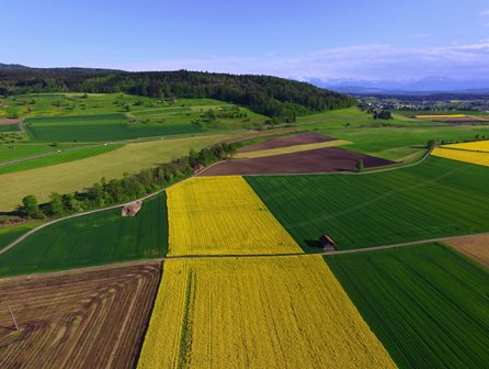 aree rurali. LA TOSCANA ALLA CONSULTAZIONE PUBBLICA EUROPEA