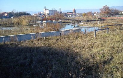 quarrata. PISCINA VIGNOLE, UN BUCO NELL’ACQUA. IL COMUNE CHIUDE LO SCAVO A CIELO APERTO