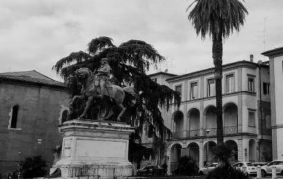 verde pubblico. IL COMUNE TENTERÀ DI RISANARE LA PALMA DI PIAZZA GARIBALDI