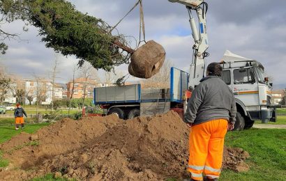 VERDE PUBBLICO, INTERVENTI NEL PARCO DELLA RANA