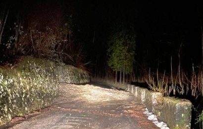 viabilità. SP 20 POPIGLIO FONTANA VACCAIA, FRANA AL KM 1+00