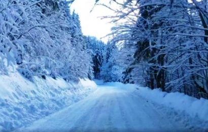 neve. CHIUSA TEMPORANEAMENTE LA STRADA STATALE 12 PER UN ALBERO CADUTO