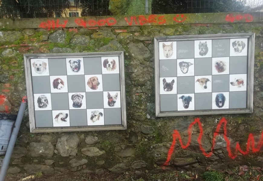 pescia. SPRAY VANDALICO AL MURO DEGLI ANIMALI SUL LUNGOFIUME BIRINDELLI