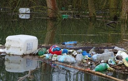 INQUINAMENTO DA PLASTICA, GLI AMICI DEL PADULE DI FUCECCHIO SCRIVONO ALL’ASSESSORA MONNIA MONNI