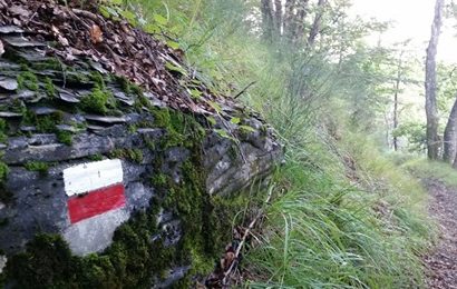 vernio. BOSCO DEI BARDI, GIÀ CONFERITI 50 ETTARI ALL’ASSOCIAZIONE