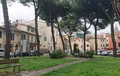 VERDE PUBBLICO IN PIAZZA SAN LORENZO: NEI PROSSIMI GIORNI SARANNO ABBATTUTI DUE PINI INSTABILI