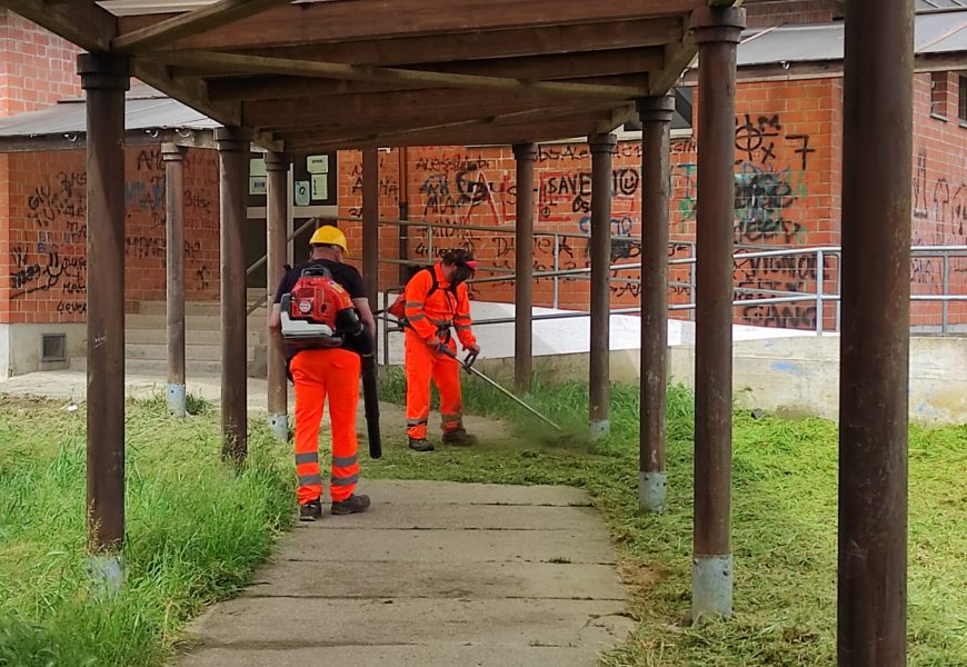 quarrata. IN CORSO IL TAGLIO DELL’ERBA NEI GIARDINI E NELLE ROTONDE