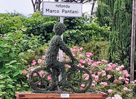 serravalle. LA SCULTURA TOPIARIA DEDICATA A MARCO PANTANI TORNA A NUOVA VITA