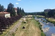 pescia. CONTINUA IL TAGLIO DELL’ERBA, IL CALENDARIO DEI LAVORI STRADA PER STRADA 