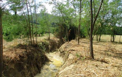 carmignano. VIA A NUOVI TAGLI SELETTIVI LUNGO IL TORRENTE FURBA